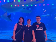 -烟台海昌鲸鲨海洋公园