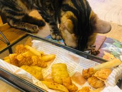 -李小姐の猫咖啡馆(五角场店)