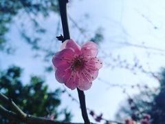 -白塘生态植物园