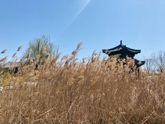 -水西公园