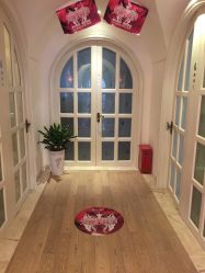 -海茱雅科技健康美容