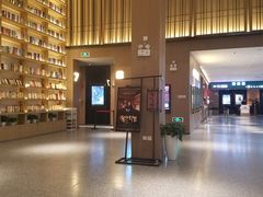 -深影国际影城(学院南路店CGS中国巨幕店)