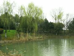 -尚贤河湿地
