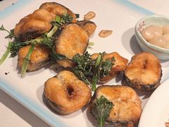 -博多新记·粤菜(复兴店)