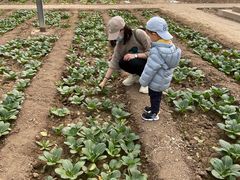 -甜心庄园·甜心草莓采摘园(西青中北店)