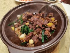 -千灯盛汇·头牌粤菜(致越优城店)