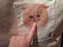 -猫咪博物馆(顶澳仔猫街店)