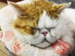 -星光摄影器材城