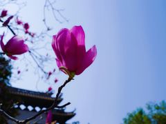 -宝墨园景区