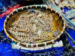 -高佳庄·舟山海鲜(海景旗舰店)