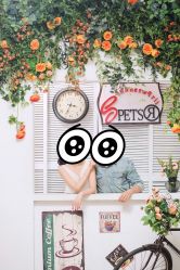 -艺匠摄影ARTIZ STUDIO(南京店)