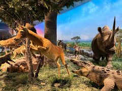 -国家自然博物馆