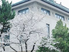 -武汉大学-樱园