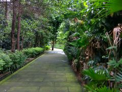 -铁山坪森林公园