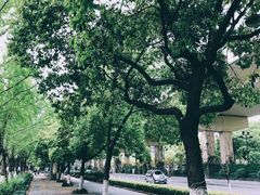 -杭州城北体育公园
