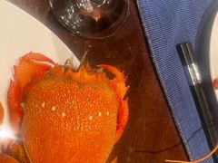 -Social 秀西餐厅-长沙瑞吉酒店(运达店)