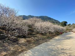 -广州市流溪河国家森林公园
