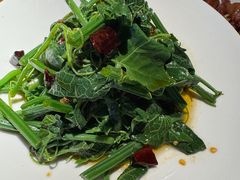 炝炒丝瓜尖-卞氏菜根香(青羊万达店)