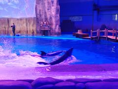 -华夏文旅海洋公园