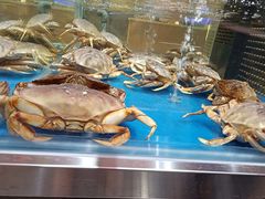 -盒马X会员店(王府井奥莱UP TOWN店)