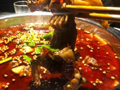 -宽口美蛙鱼头(大唐西市店)