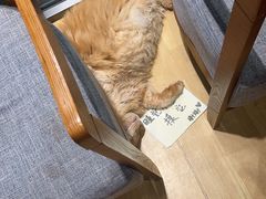 -藏猫猫咖啡主题馆(中央大道店)