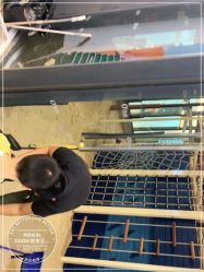 -PIPIKINGDOM皮皮王国欢乐号(欢乐海岸购物中心店)