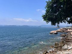 -大梅沙海滨公园