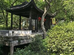 -雨花胜境
