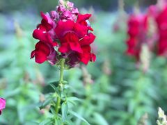 -人民公园(罗湖区)