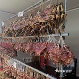一叶知秋，南雄银杏