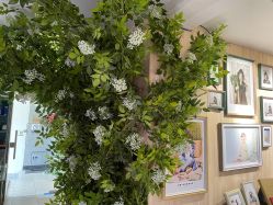 -KIDSMEMO拾光纪儿童摄影(金丰大厦店)