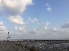 -南汇嘴观海公园