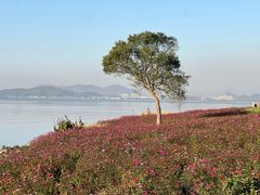 -东钱湖小普陀景区