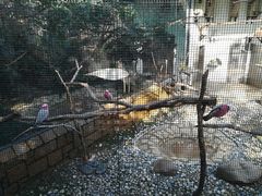 -九龙公园