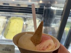 -极拉图·现制冰淇淋(大卫城店)