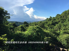 -老虎沟生态农场