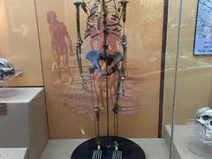 -国家自然博物馆