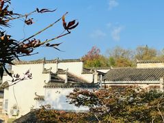 -塔川景区