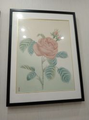 -颜蕾医美·黄金微针·水光·玻尿酸·超声炮