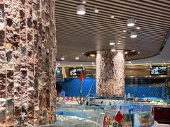 -小平岛开海水饺(皇姑店)