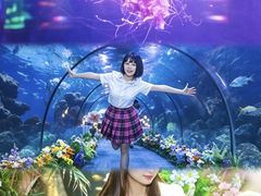 -南昌融创海世界