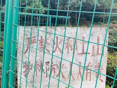 -树山生态村