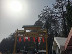 -渌洋湖湿地公园
