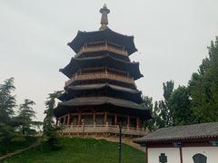 -百脉泉景区