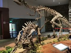 -自贡恐龙博物馆