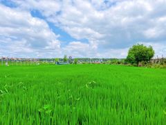 -稻梦空间冰雪小镇