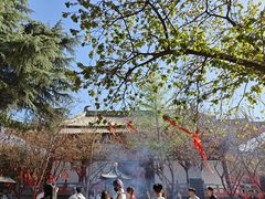 -西安青龙寺遗址景区