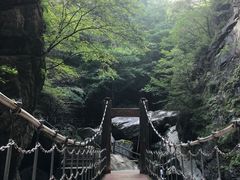 -牛背梁国家森林公园
