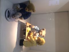 iphone_upload_pic-成都泰迪熊博物馆